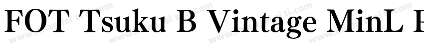 FOT Tsuku B Vintage MinL Pro字体转换